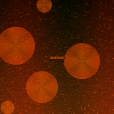 pc蛋蛋极速赛车火焰轮胎图标